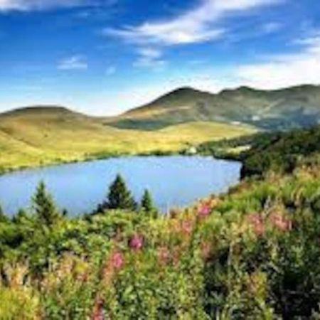 Вилла La Grange De La Gratade Rochefort-Montagne Экстерьер фото