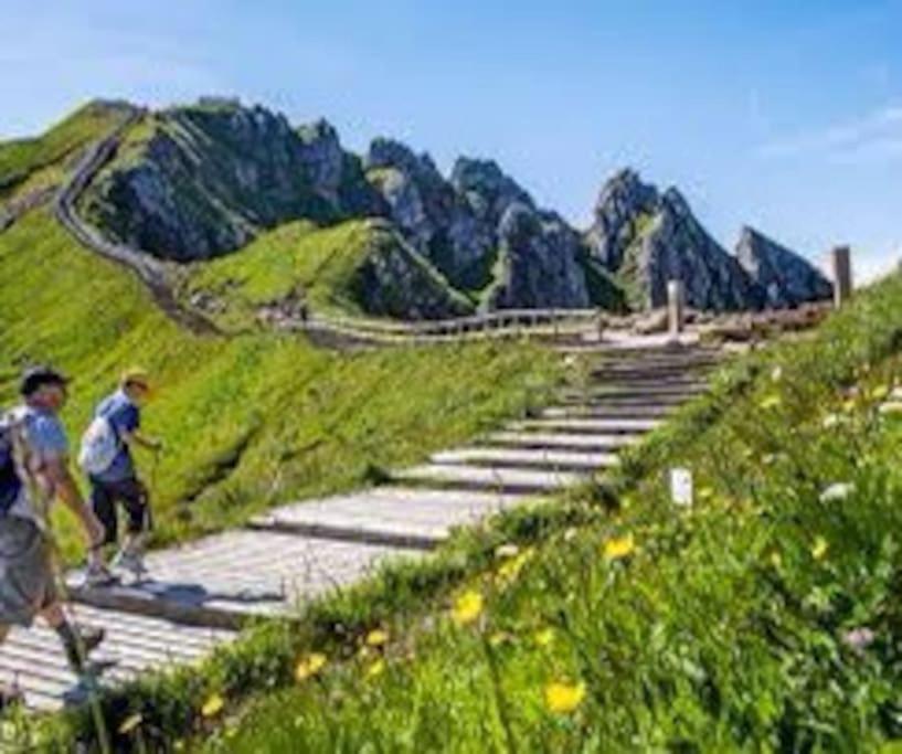 Вилла La Grange De La Gratade Rochefort-Montagne Экстерьер фото