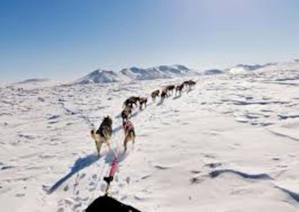 Вилла La Grange De La Gratade Rochefort-Montagne Экстерьер фото