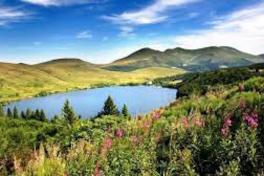 Вилла La Grange De La Gratade Rochefort-Montagne Экстерьер фото