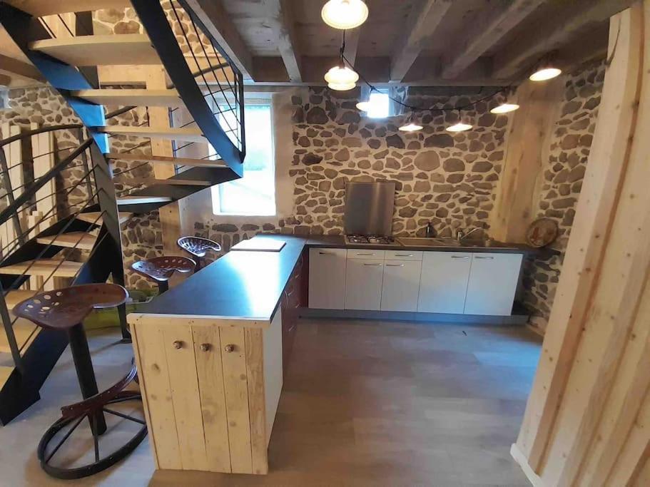 Вилла La Grange De La Gratade Rochefort-Montagne Экстерьер фото